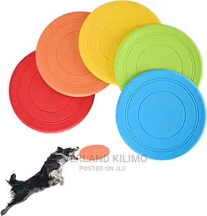 Pet Frisbee Toy