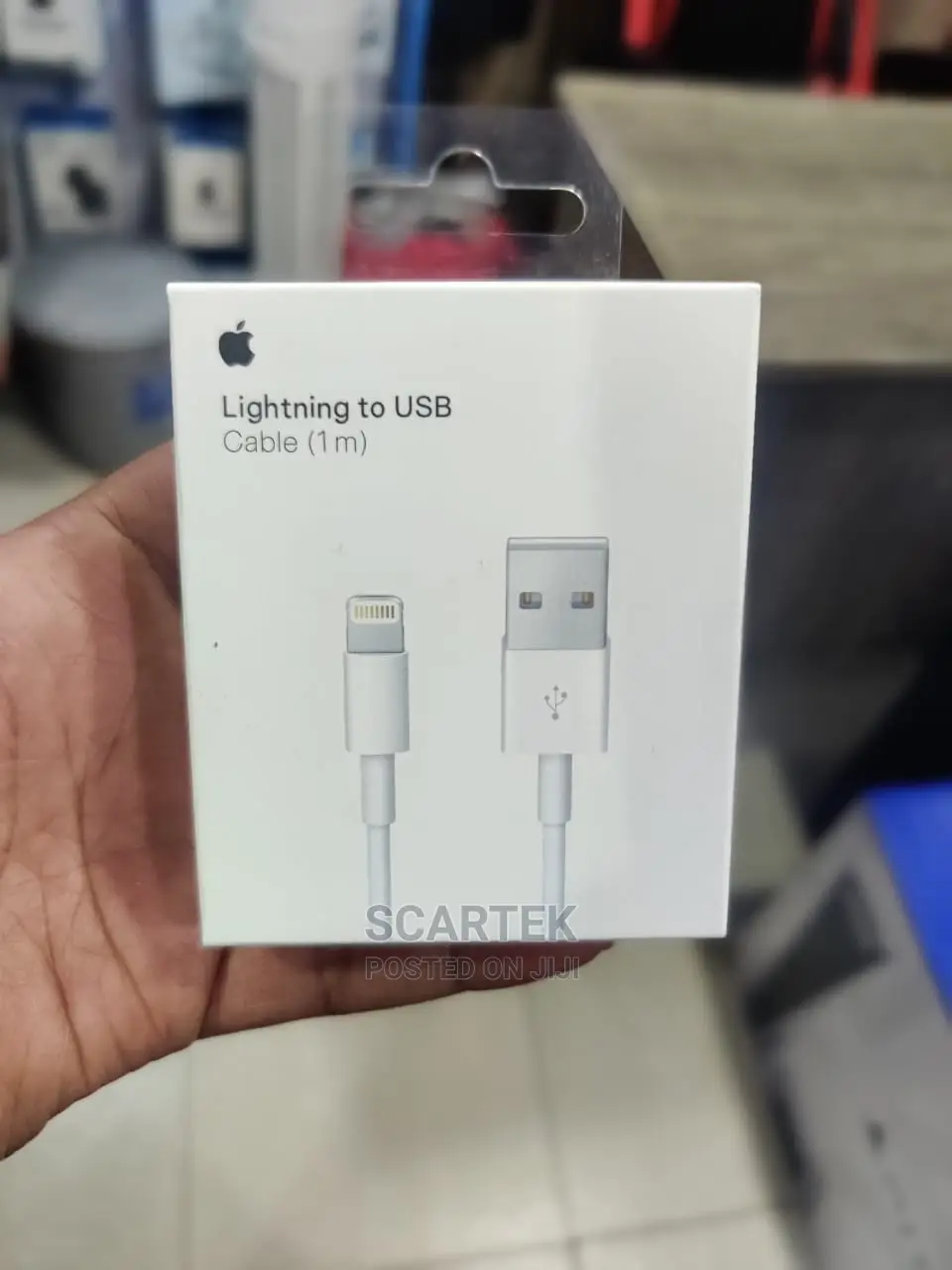 Apple Lightning to USB Cable (1m)