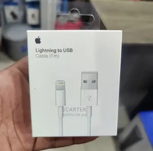 Apple Lightning to USB Cable (1m)
