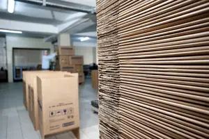 Carton Boxes