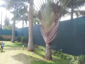 Privacy Shade Screen Fence in Nairobi
