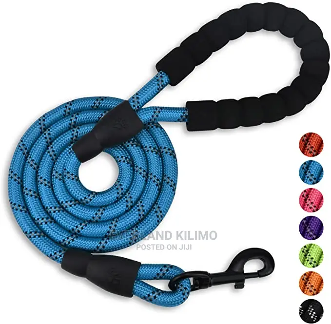 Dog Nylon Leash- Reflective