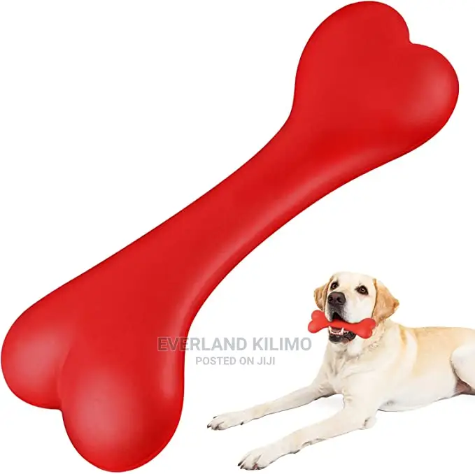Pet Bone Toy