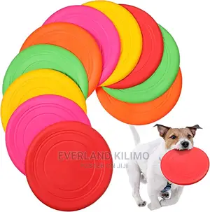 Flying Disc- Frisbee