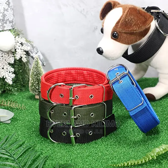 Dog Collar