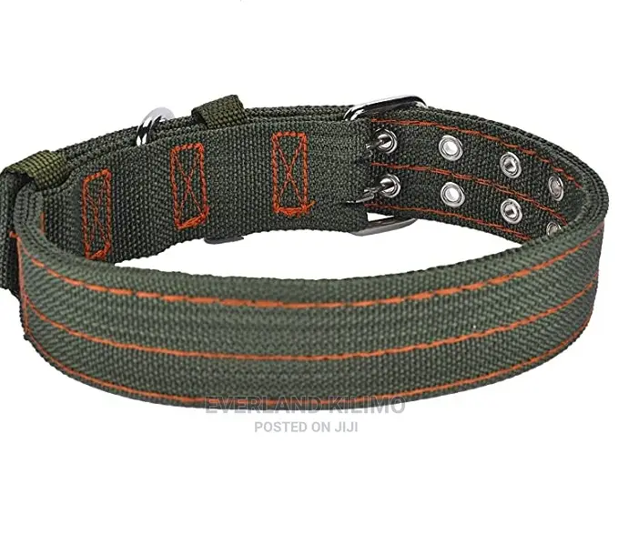 Heavy Duty Dog Collar