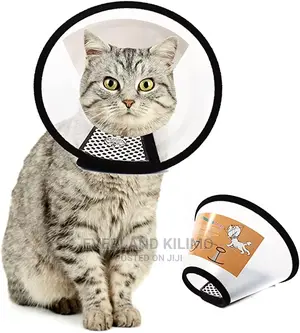 Elizabethan Cat Collar
