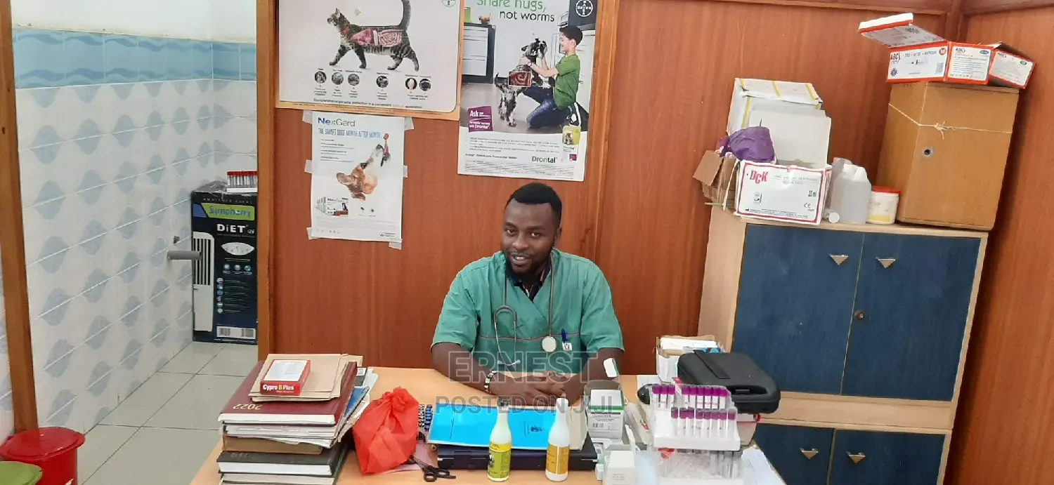 Veterinary Services and Check Ups