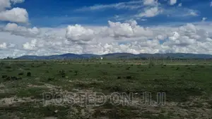 Phenomenal Plots for Sale^En