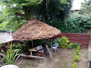Home Resting Makuti Gazebo