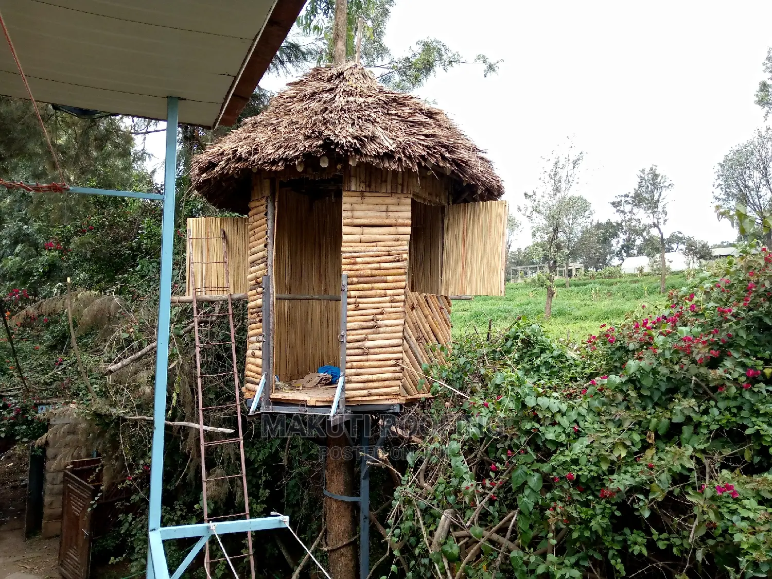Home Resting Makuti Gazebo
