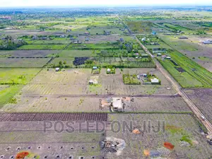 Residential Plots in Jujafarm 50*100^EK
