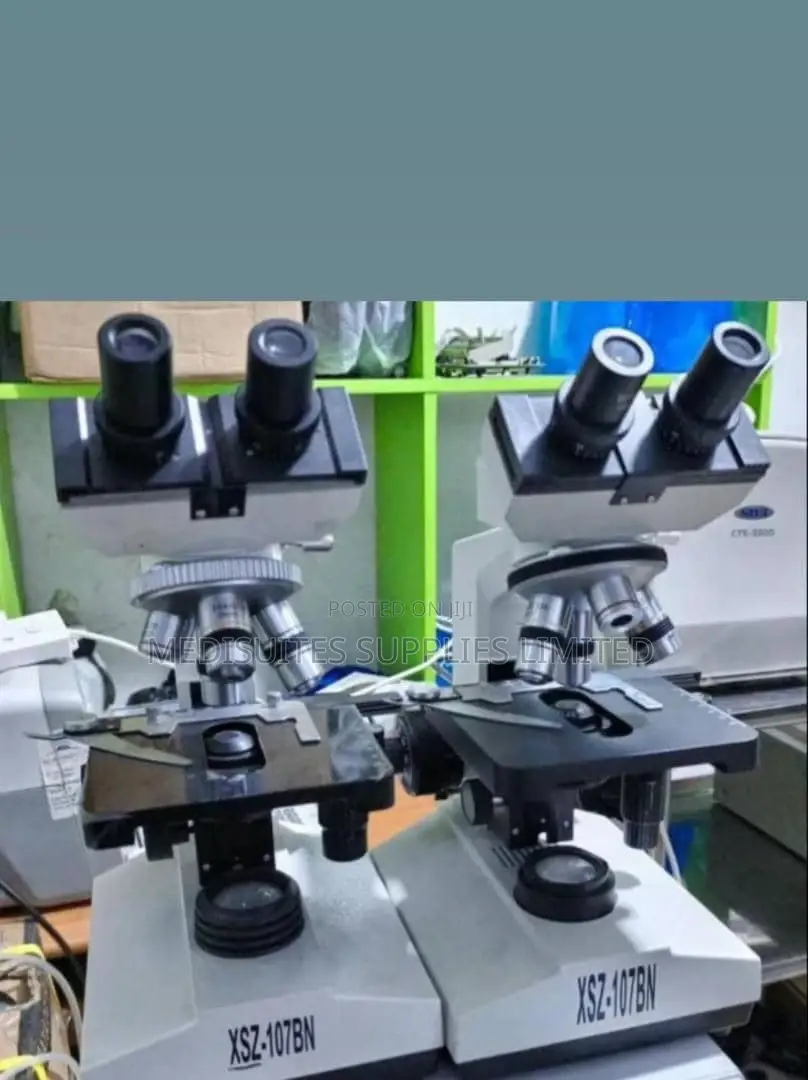 Binocular Microscope
