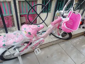 Pink Lady Bird Kid Bike Size 16