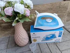 Steam Iron