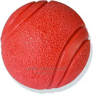 Fetch Ball Dog Toy