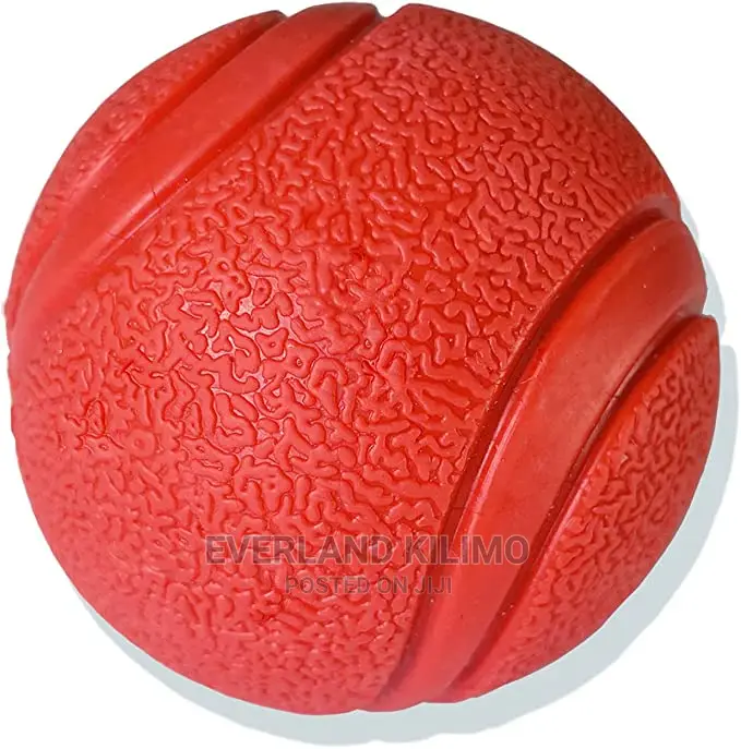 Fetch Ball Dog Toy