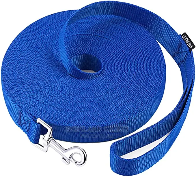 Training Dog Leash- Flat