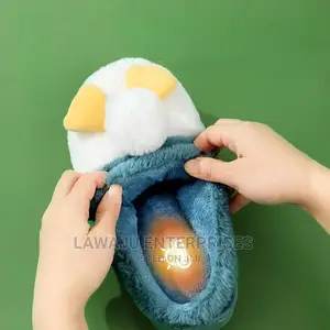Cute Indoor Shoes