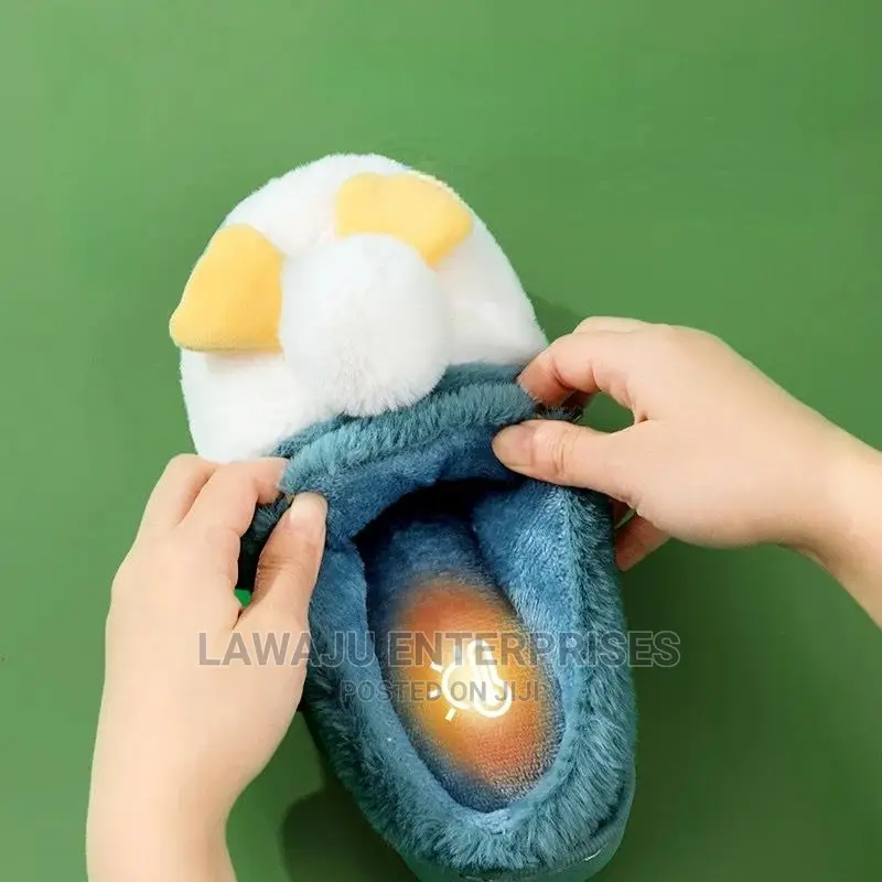 Cute Indoor Shoes