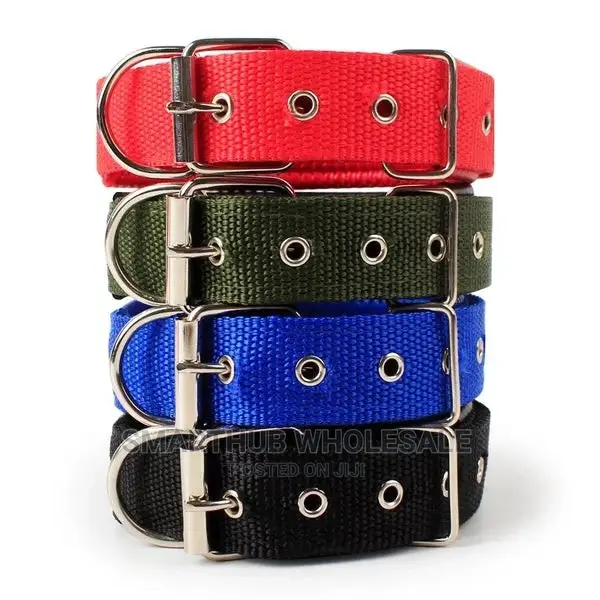 Dog Collars Available