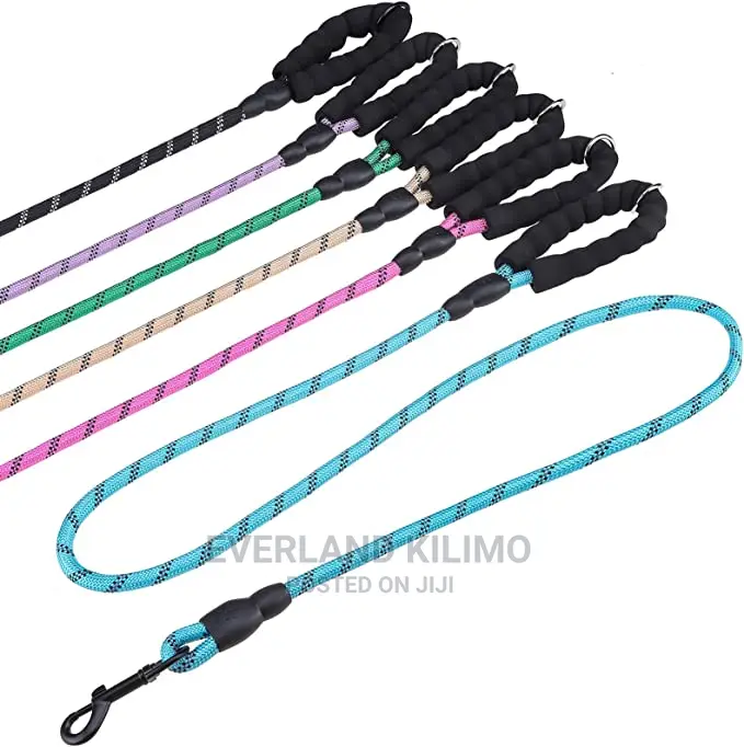 Braided Nylon Dog Leash