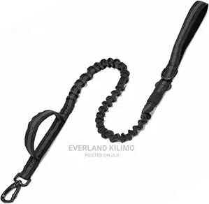 Bungee Dog Leash