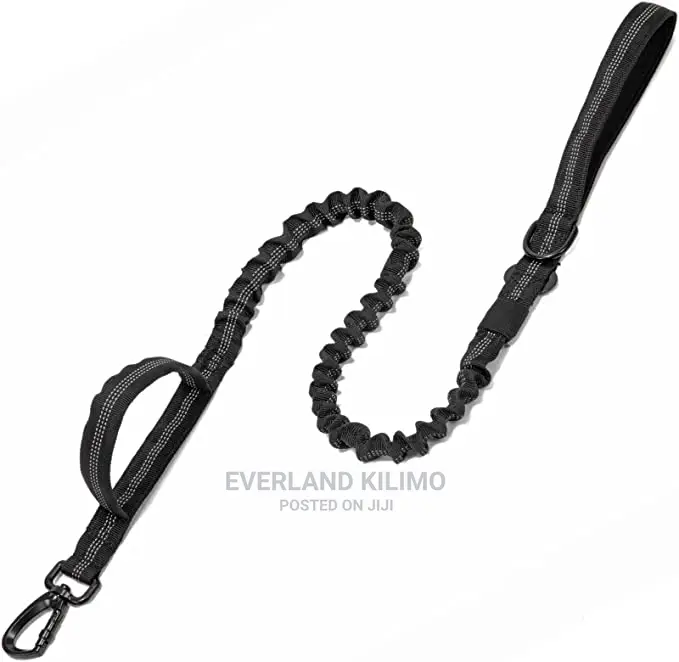 Bungee Dog Leash