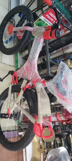 BIKE SIZE 22 With Water Bottle and FAT TYRES