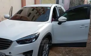 Window Tinting Service