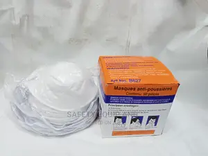 Best Disposable Dust Masks