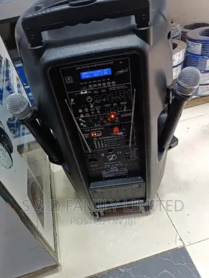 Portable Speaker 15 Inch With 2 Wireless Microphone