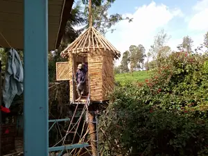Makuti Unique Gazebos