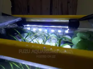 Blue and White Aquarium Light LED