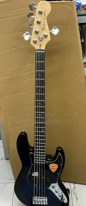Fender Bass Guitar & Bag