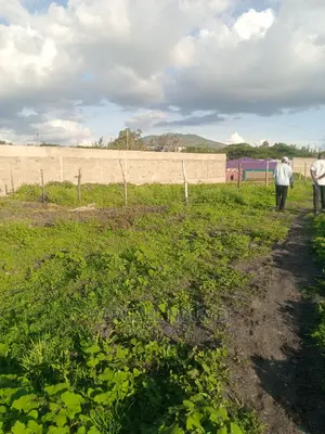 Kenya Israel Plot