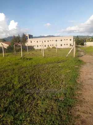 Kenya Israel Plot
