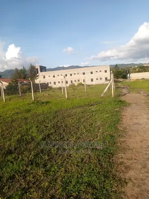 Kenya Israel Plot