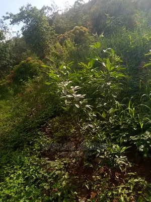 1.75 Acres at Machakos Kaani