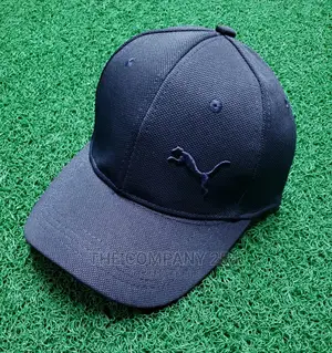 Quality Designer Brand Unisex Assorted Caps