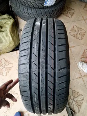 225/50r17 Maximus