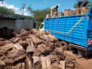 Makuti for Roofing Construction