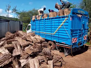 Makuti for Roofing Construction