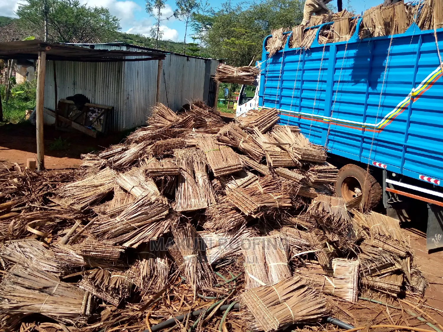 Makuti for Roofing Construction