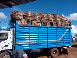 Makuti for Roofing Construction