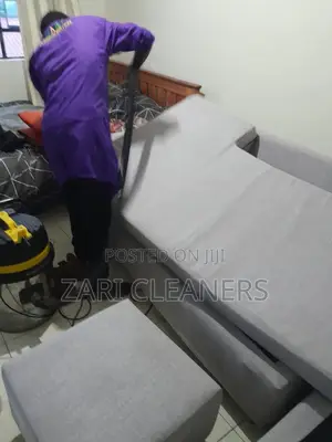 Recliner Sofa/Sofa Bed/L Shaped Sofa Cleaning