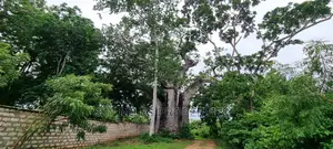 Kuruwitu Vipingo,10 Acre on Sale