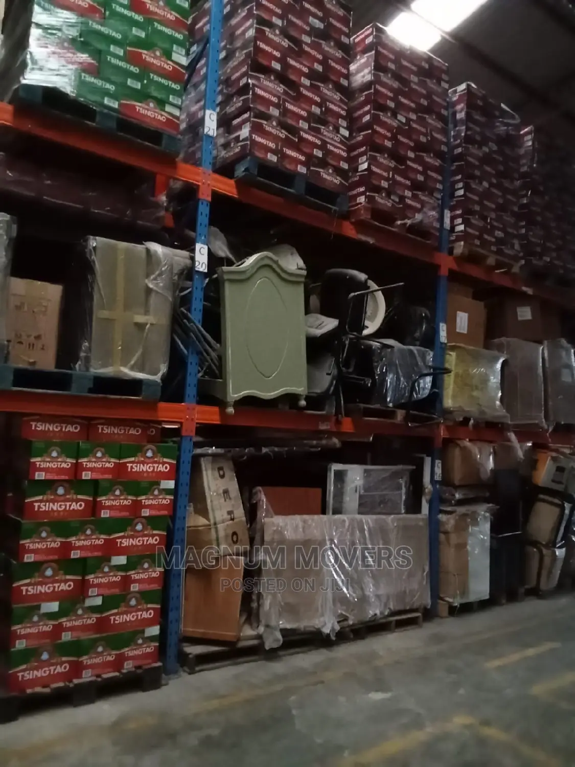 Professional Moving and Storage Services