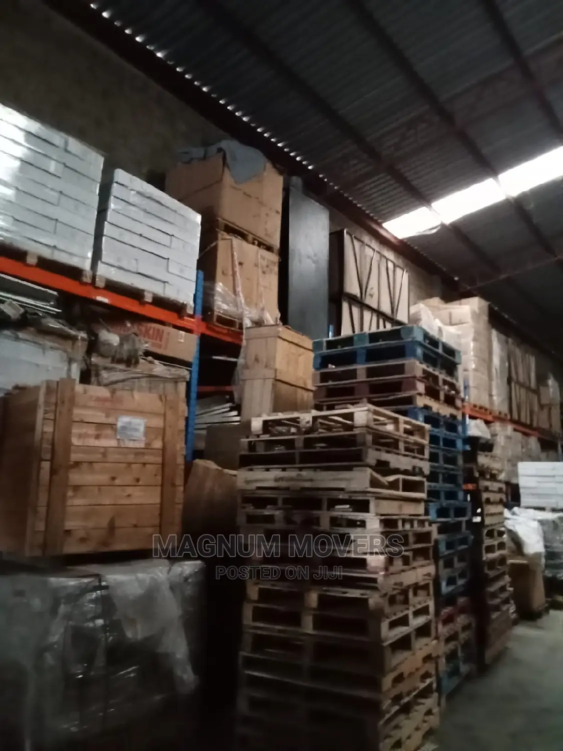 Professional Moving and Storage Services