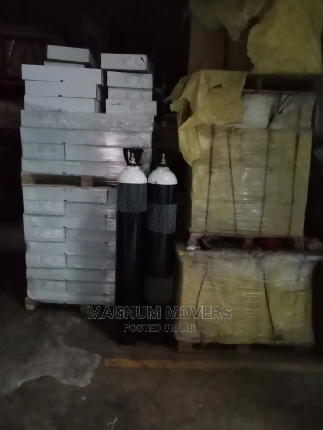 Professional Moving and Storage Services